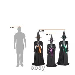 3-Piece Halloween Classics LED Faceless Witches H39