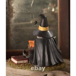 Bethany Lowe Halloween DIY Fortune Tellers Kit Witch TD0063 Free Shipping