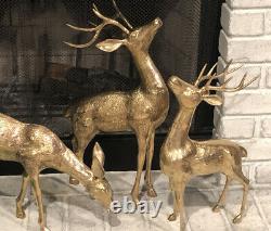 Brass Deer Large Set 2 Bucks 1 Doe Holiday Christmas Reindeer set 22 18 13.5