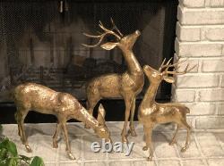 Brass Deer Large Set 2 Bucks 1 Doe Holiday Christmas Reindeer set 22 18 13.5