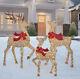 Christmas Deer Family Red Bow Set Of 3 656 Led Lights Holiday Indoor Outdoor