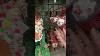 Christmas Ornaments In September 2025 At World Market