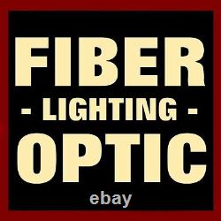 Fiber Optic Christmas Figure / Teddy Bear & Christmas Tree / Vintage Color Wheel