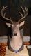 Gemmy Buck Talking Singing Animated Deer Rare Vintage Hunter Hunt Singing