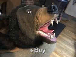 Gemmy Bud THE TALKING BEAR - BEAR SKIN RUG Animated Motion