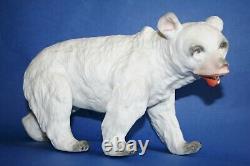 Incredible 10 antique german Heubach bisque polar bear