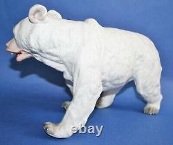 Incredible 10 antique german Heubach bisque polar bear