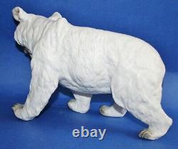 Incredible 10 antique german Heubach bisque polar bear