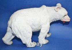 Incredible 10 antique german Heubach bisque polar bear