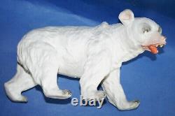 Incredible 10 antique german Heubach bisque polar bear