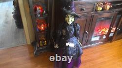 Katherine's Collection Evil Green Wicked Witch Halloween 36Collectible Doll