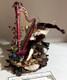 Lynn West Harp Berry Fairy Elf Santa Limited Edition 11/25 Rare Coa 1994