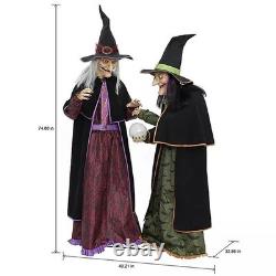 Members Mark Pre-Lit Animated Crystal Ball Witches Halloween Decor Set of 2
