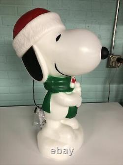 New Christmas Snoopy Blowmold Christmas Light Outdoor 24 Too Cute! Gemmy