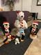 Rare Gemmy 3-piece Band Polar Bear & Sing-guins Penguins Animated 36 Tall Read