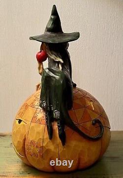 Rare 2008 Jim Shore Sweet & Sour Witch Kitty Cat Halloween Figurine 4012605