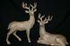 Reindeer Statue Deer Statue New Set/2 Gold Glitter Christmas 18.5 Raz Imports