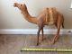 Vintage Large Simpich Doll Christmas Camel Carved Wood