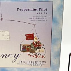 Vintage RARE Possible Dreams Flights of Fancy Peppermint Pilot TESTED WORKS